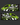 Wrap Design Pack 20 - Wild & Crazy Edition (Updated)
